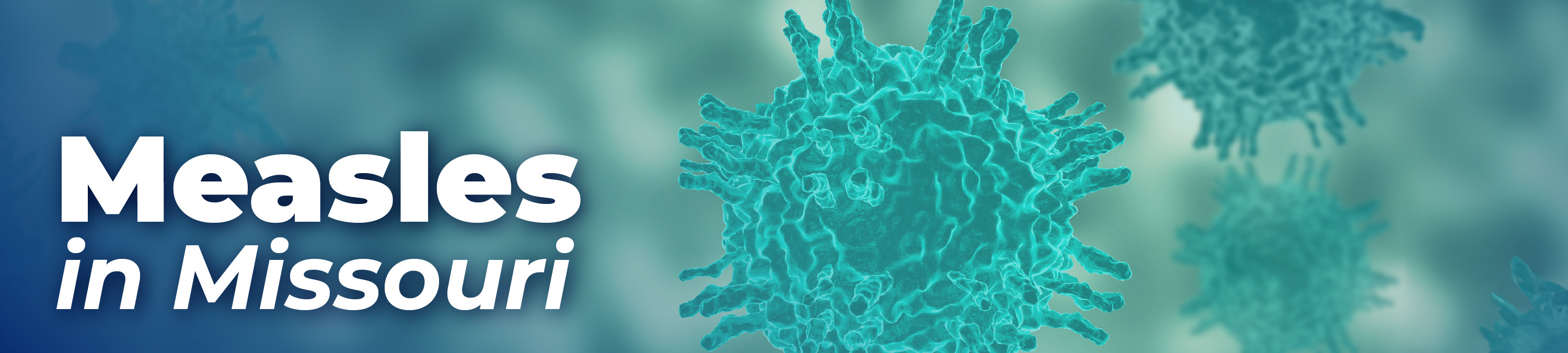 measles banner